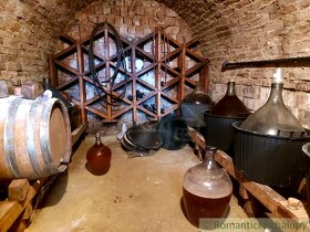 Poschodová chatka s vínnou pivnicou na vinohrade v obci G - 4