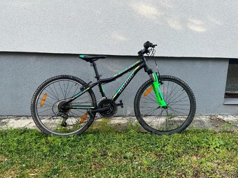 Bicykel author a-matrix - 4