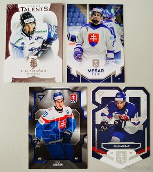 Hokejové kartičky - SÝKORA, DVORSKÝ, HONZEK, MEŠÁR, NEMEC... - 4