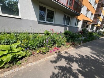 Garsónka s klimatizáciou, Štefánikova ul. - 4