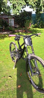 Kellys noid 70 - 4