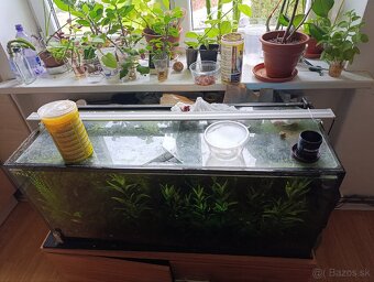 Akvárium + svetlo - 4