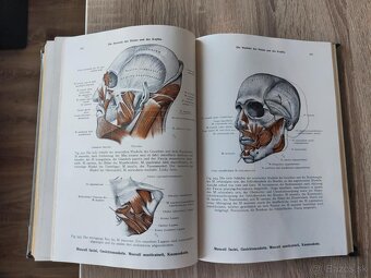 Toldtuv Anatomický atlas - 4