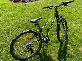 Dema Rockie 26” - 4