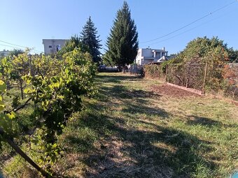 Predaj rodinný dom Levice , 632 m2 - 4