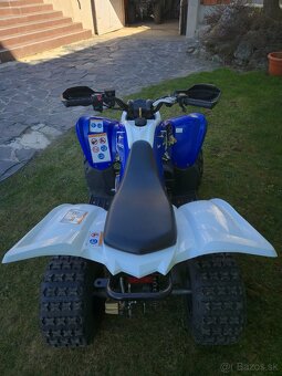 Yamaha Raptor YFM 90 2013 - 4