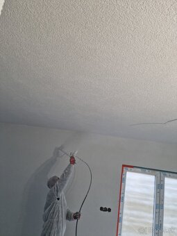 Strojové maľovanie/ airless maľovanie - 4