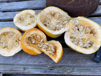 Bio tekvicové jadierka ručne vyberané - 4