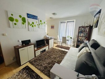 Na predaj 1 izbový byt s dvomi parkovacími miestami, Pieštan - 4