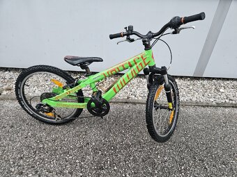 Scott - 4
