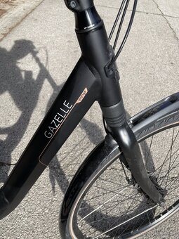 Gazelle Orange C8 - 4