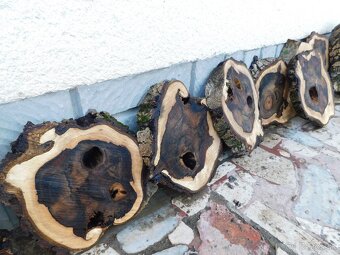 Koláče - orechové drevo, fošne, rezivo - 4