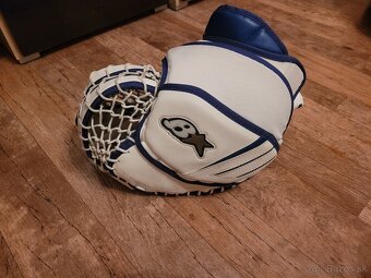 brians gnetik - 4