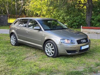 Audi A3 8P 1.9TDI 77KW BXE bez DPF - 4