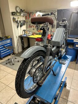 Babetta 210 Cafe - 4