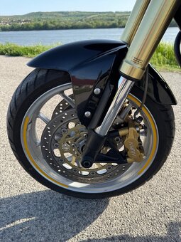 Triump tiger 1050 - 4