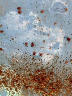 DERATIZÁCIA, DEZINFEKCIA, DEZINSEKCIA - 4