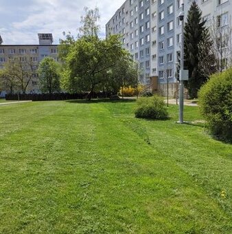 Starostlivosť o zeleň, kosenie,výrub stromov, pilčícke práce - 4