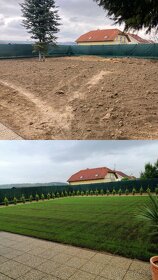 Úpravy terénu reverznou frézou, kobercový a siaty  trávnik - 4
