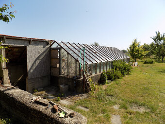 Na predaj dom s ovocným sadom 4401m2 -Veľké Kosihy. - 4