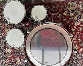 Sonor Designer Birdseye Cherry Maple Light Shell set + snare - 4