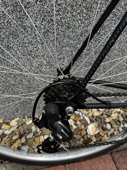 Repasovaný Favorit v štýle Gravel - 4