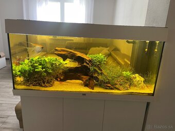 Akvarium Juwel 180l - 4