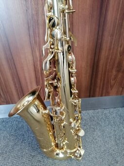 SAXOFÓN PARROT - 4