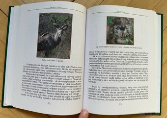 KNIHA Živá symetria Mikuláš Juraj Lisický za 5eur - 4