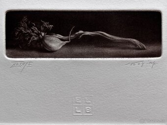 Konstantin Chmutin - 4