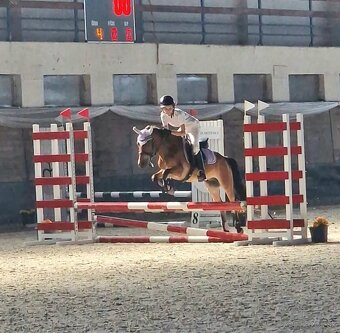 Sportovy pony - 4