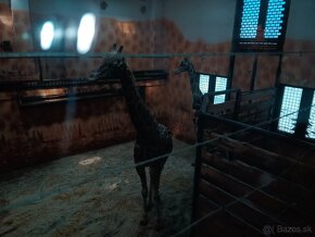 BMW x6 e71 4.0d 225 kw - 4