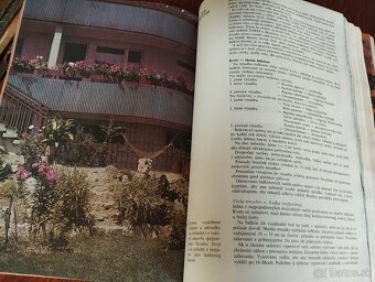 Magazín Rok s Evou - 4