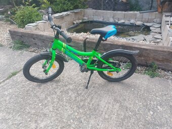 Kenzel lime 16 - 4