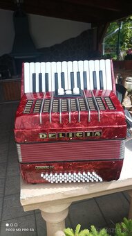 Harmonika -Akordeon.Červená perleť.Delícia Junior 60 basová. - 4