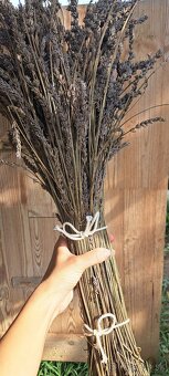 Levandula - dlhé sušené zväzky - 4