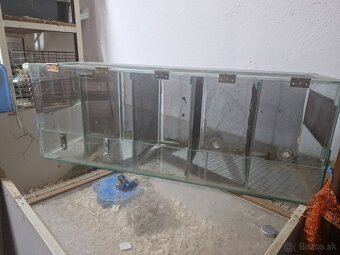Chovne terárium - 4