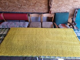 Zapožičanie tepovača karcher alebo tepovanie - 4