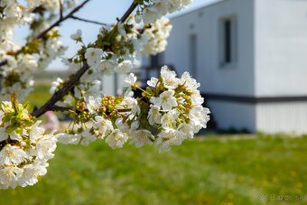 Záhrada 2253 m2 v Čunove s obytným domčekom - 4