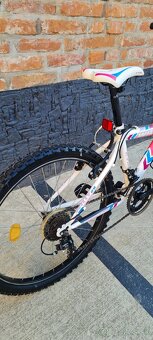 Ctm 24" willy - 4