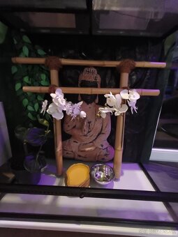 exoterra teraruim - 4
