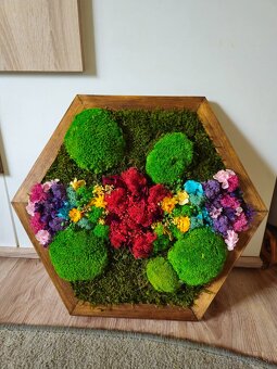 Machový obraz dúha - 4