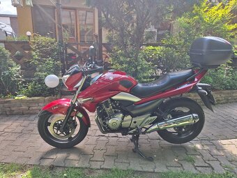 Suzuki gw 250 inazuma - 4