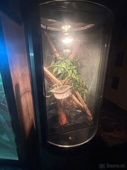 Terarium - 4