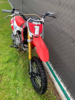 Pitbike WPB 155 Race - 4