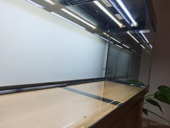 Juwel akvárium 240l - 4