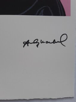 Andy Warhol – Mickey Mouse Pink - 4