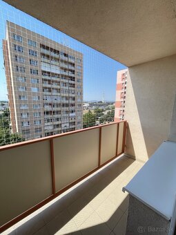 Siete proti holubom - 4