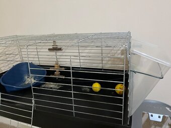 Klietka pre morča / zajačika - 4
