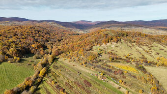 Pekný lesný pozemok kúsok od vyhliadky Vimperk - 4